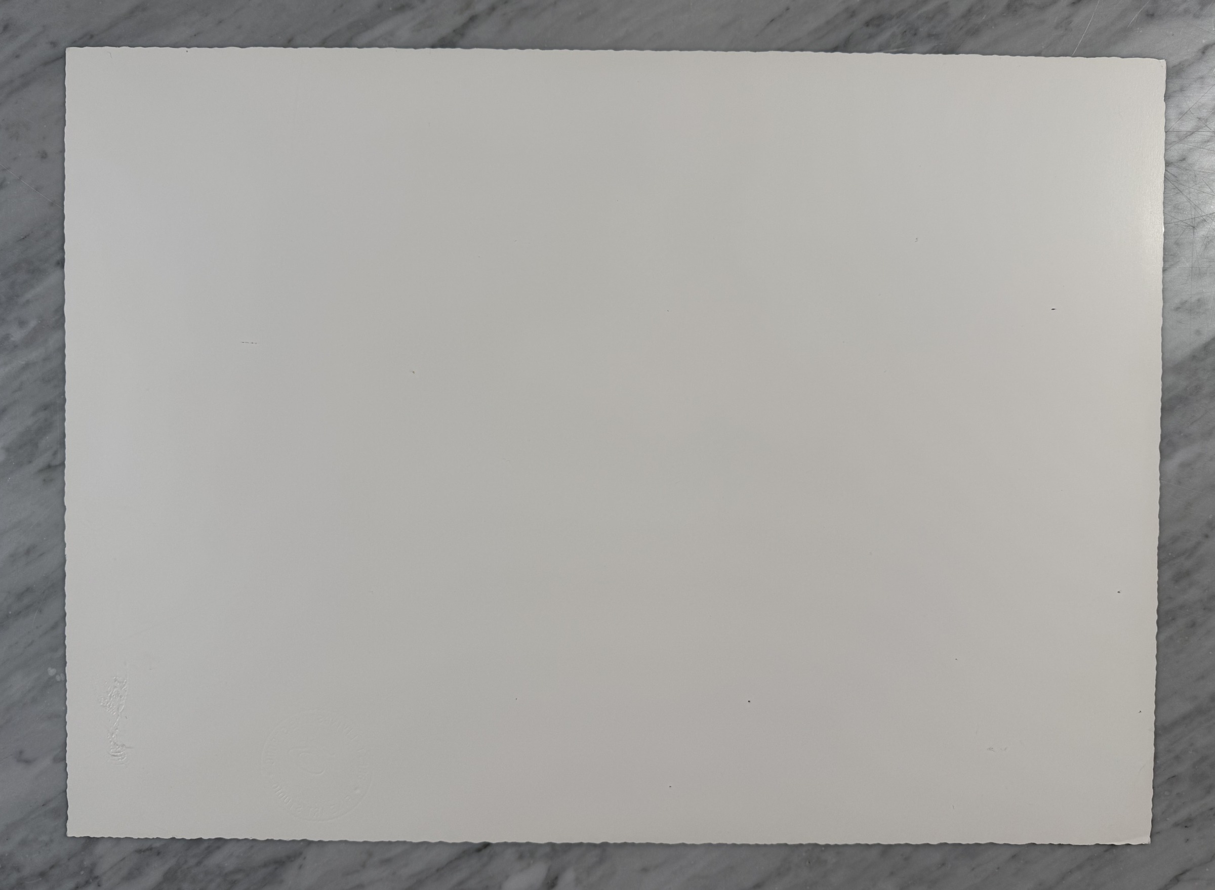 Jurassic Spider — Back