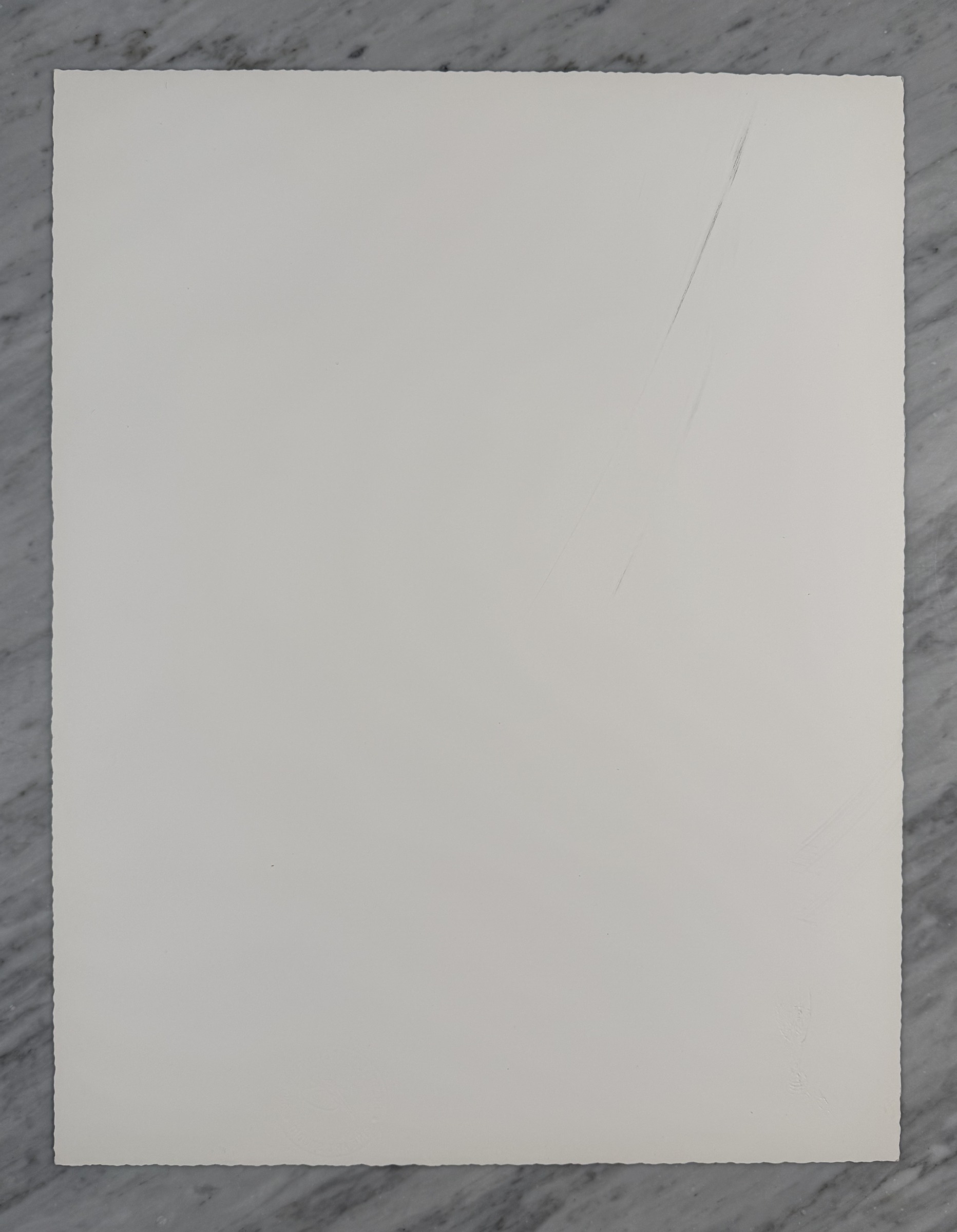 Triassic Grasshopper — Back