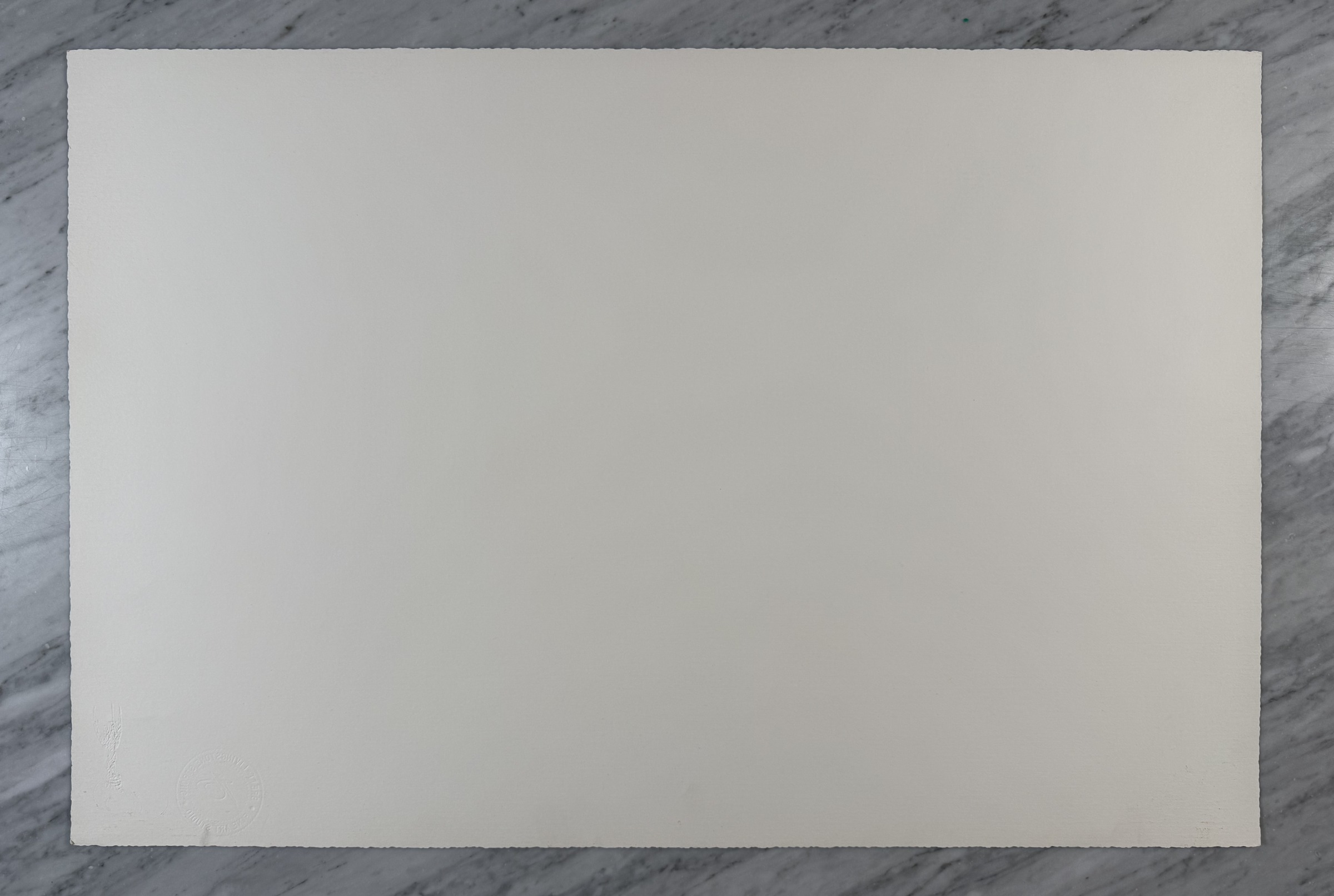 Vanishing Race — Back