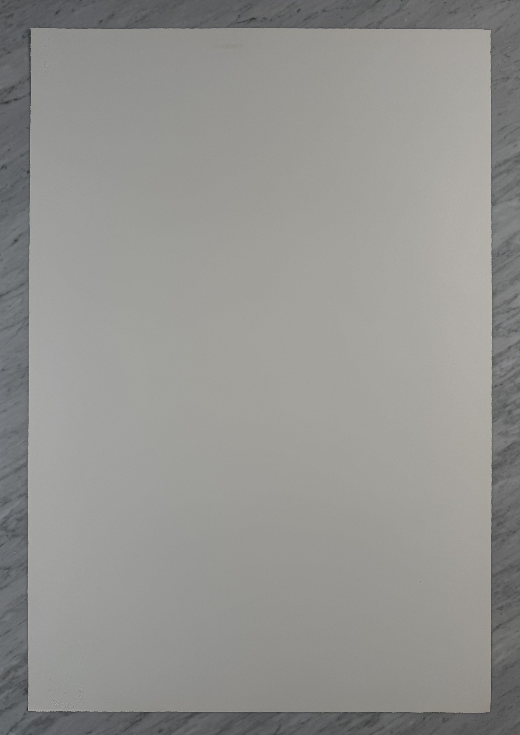 Sunset Tree — Back