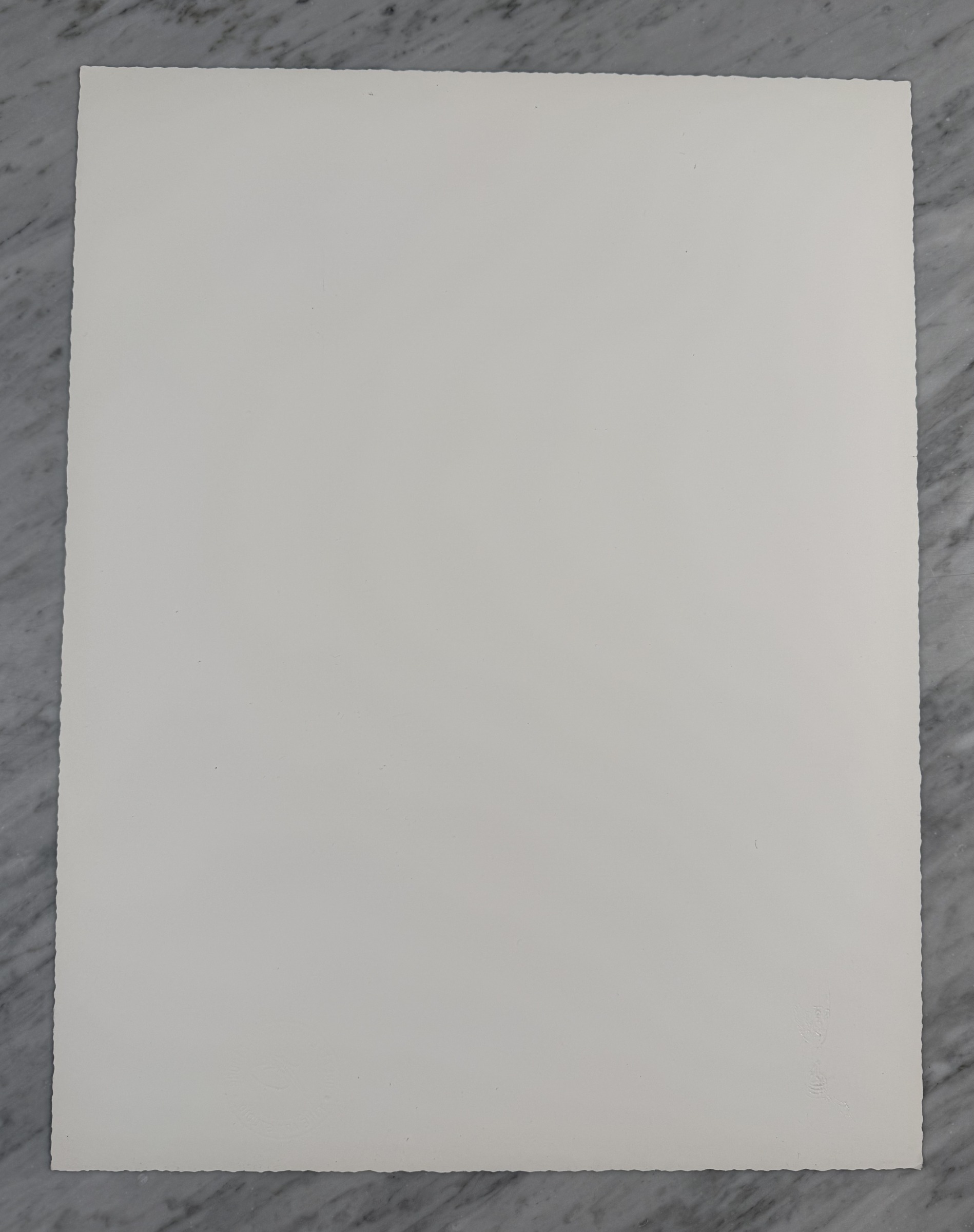 Triassic Grasshopper — Back