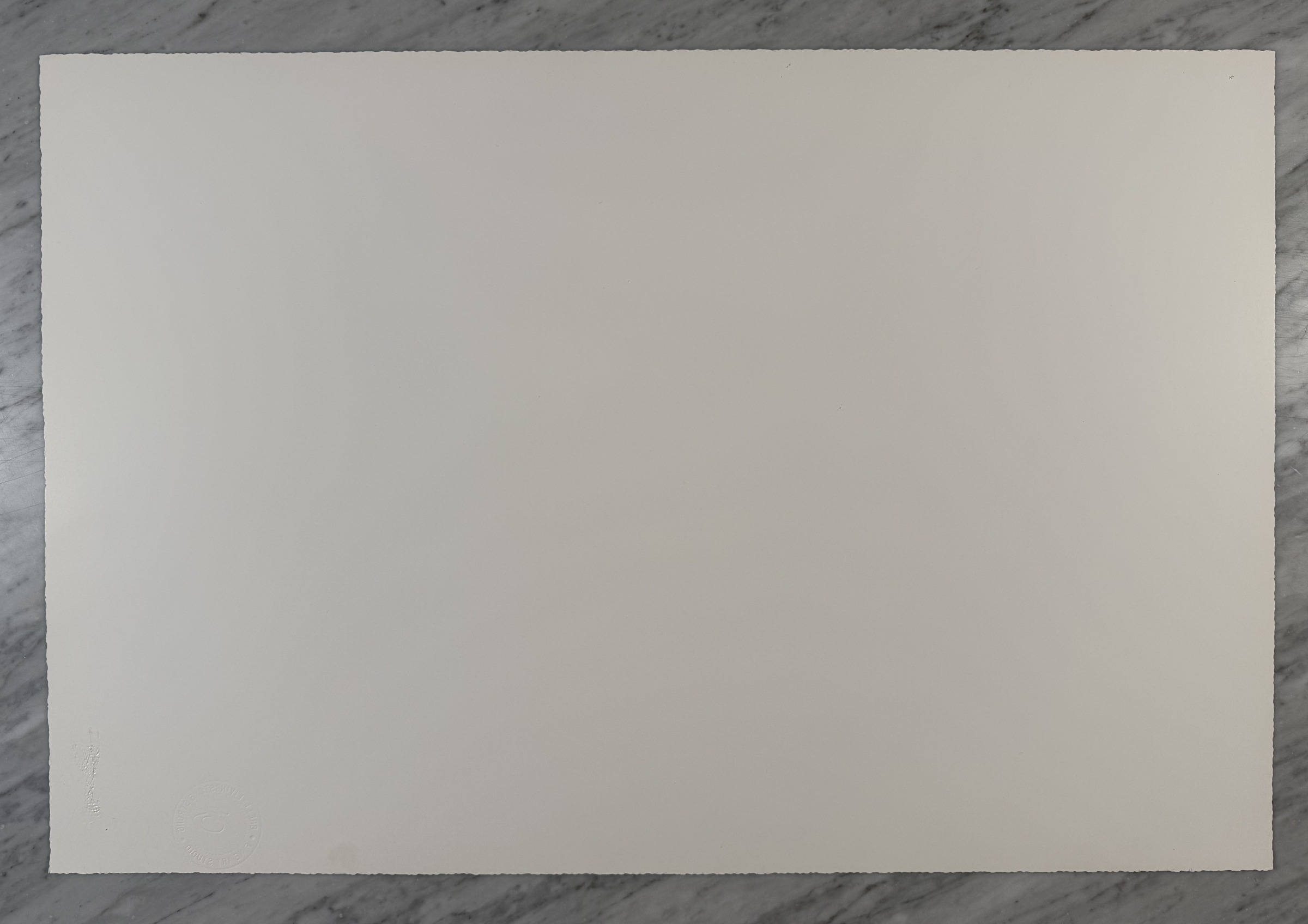 Vanishing Race — Back